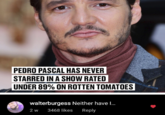 PEDRO PASCAL HAS NEVER STARRED IN A SHOW RATED UNDER 89% ON ROTTEN TOMATOES walterburgess Neither have I... 2 w 3468 likes Reply