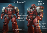Yes Yo Lucas? Tim? were'd we even get the name blood ravens from anyway? Oh, Splendid. Oh we just stole it from the Blood Angels and Raven Guard.