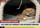 LIVE BREAKING NEWS CAT USES CAT PRODUCT FOR INTENDED PURPOSE 7:01 PM IS SOMETHING WRONG WITH HIM? IS HE OK? WAS HE PAID TO USE IT? CST