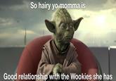 So hairy yo momma is Good relationship with the Wookies she has