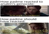 How padme reacted to anakin's genocide: To be angry is to be human How padme should have reacted: oh wow... that's great Ani, I am going to my ship, definitely not to call the police and jedi order and report your crimes