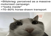 >Blitzkrieg: perceived as a massive motorized campaign >*looks inside* >70-80% horse-drawn transport