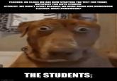 TEACHER: OK CLASS WE ARE NOW STARTING THE TEST FOR TODAY, HOPEFULLY YOU GUYS STUDIED STUDENT:WE DIDN'T STUDY BECAUSE WE WERE DOING OUR HOMEWORK TEACHER: WHAT HOMEWORK? imgflip.com THE STUDENTS: