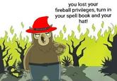 SMOKEY you lost your fireball privileges, turn in your spell book and your hat!