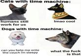 Cats with time machine: humans still work for us Imao cool Dogs with time machine: can you help me onto the couch im sleepy what the f--- is that