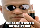 WHAT GREENSEER ACTUALLY ARE