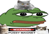 WARNING P---- MAGNET