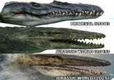 PRIMEVAL (2008) JURASSIC WORLD (2015) JURASSIC WORLD (2025)