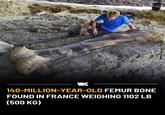 WC 140-MILLION-YEAR-OLD FEMUR BONE FOUND IN FRANCE WEIGHING 1102 LB (500 KG)