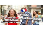 FRENCH SCIENTISTS AND A 1.7 BILLION YEAR OLD NATURAL URANIUM MINERS MODERN NUCLEAR FISSION REACTOR REACTORS RUNNING ITSELF IN GABON imgflip.com