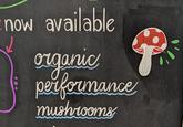 now 2 available organic performance mushrooms
