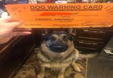 Current Letter # 2 3 DOG WARNING CARD Do not deliver this warning card Address TH GERMAN SHEPARD No Delivery Description Sidewalk Delivery Visual Caution Response Loose Charge Atta Bi