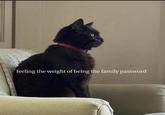 feeling the weight of being the family password