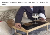 Them: You let your cat on the furniture?!! Me:
