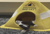 CAUTION BAD CAT!
