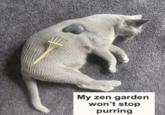My zen garden won't stop purring
