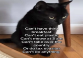 Can't have third breakfast Can't eat plastic Can't meow at 3 am Can't take over the country Or do tax evasion Can't do anything