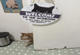 TO WIP WELCOME TO THE BATHROOM A CAT WILL BE WITH YOU SHORTLY