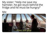 My sister: "Help me save my hamster, he got stuck behind the fridge and he must be hungry!" Me: J If he's still alive