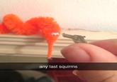 any last squirms