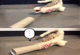 度あり 度あ