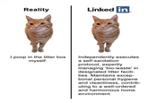 Linked in Reality I poop in the litter box myself. Independently executes a self-sanitation protocol, expertly managing 'bio-waste' in designated litter facili- ties. Maintains excep- tional personal hygiene and cleanliness, contrib- uting to a well-ordered and harmonious home environment.