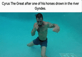 Cyrus The Great after one of his horses drown in the river Gyndes.