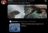TCald @ThatGuyTCald. 4/14/26 H-------- he was right there Cerato @75Cerato 4/14/26 . This is obviously anguirus's doing X