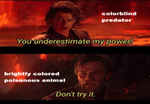 colorblind predator You underestimate my power! brightly colored poisonous animal Don't try it.