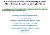 A Cool Guide for the Obesity Cycle: How Stress Leads to Weight Gain Just overeating is not always the cause of obesity. It is often caused by a recurrent biological and behavioral cycle. This cycle can be broken through understanding. Stress Increased Cortisol (Stress Hormone) Poor Sleep & Fatigue ↓ Increased Cravings (Sugar & Refined Carbs) ↓ Overeating & Late-Night Snacking ↓ Weight Gain (Especially Belly Fat) ↓ Low Energy & Reduced Physical Activity More Stress (Cycle Repeats)