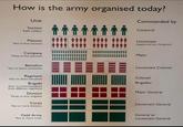 How is the army organised today? Unit Section Eight soldiers Commanded by Corporal Platoon Two to four sections Lieutenant (supported by a Sergeant) Company Three to five platoons Major Battalion Two to seven companies Regiment One to three battalions Brigade Four or more battalions from different regiments Division Three or four brigades Corps Two or more divisions Lieutenant Colonel Colonel Brigadier Major General Lieutenant General Field Army Two or more corps General or Lieutenant General