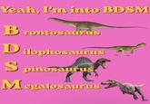 Yeah, I'm into BDSM Brontosaurus Dilophosaurus S pinosaurus Megalosaurus