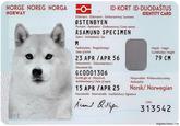 NORGE NOREG NORGA NORWAY ID-KORT ID-DUODAŠTUS Etternavn Etternamn Sohkanamma/ Surname ØSTENBYEN Fornavn Førenamn Ovdanamma/ Given names ASAMUND SPECIMEN Kjønn Sohkabealli/ Sex M Fødselsdato Riegádanáigi/ Date of birth 23 APR /APR 56 Dokumentnr. Dokumeantanr./ Document No. GC0001306 Kortet går ut Manimuš dohkkenbeaivi/ Date of expiry 15 APR /APR 25 IDENTITY CARD Høyde Høgd Guhkkodat/ Height 79 CM Nasjonalitet Riikkavulošvuohta/ Nationality Norsk/ Norwegian Navnetrekk Namnetrekk Vuolláičálus/ Signature Åsamund Qilleger CAN 313542 NOR dogemuchwow.com