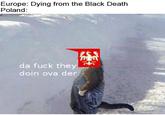 Europe: Dying from the Black Death Poland: da f--- they doin ova der