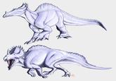RIAMUS