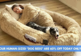 OUR HUMAN-SIZED "DOG BEDS" ARE 60% OFF TODAY ONLY