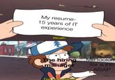 da My resume- 15 years of IT experience Woah. The hiring manager This is worthless! Me lookin for a job ASAP