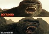 KONG SKULL ISLAND MONARCH LEGACY OF MONSTERS