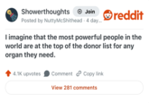 Showerthoughts + Join Posted by Nutty McShithead. 4 day... reddit I imagine that the most powerful people in the world are at the top of the donor list for any organ they need. 4.1K upvotes Comment Copy link View 281 comments