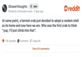 Showerthoughts + Join reddit Posted by chronically-iconic . 5 days ago At some point, a hermet crab just decided to adopt a random shell as its home and now here we are. Who was the first crab to think "yup, I'll just climb into that". 1.5K upvotes Comment Copy link View 54 comments