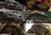 WALKING WITH DINOSAURS WHEN DINOSAURS ROAMED America DINOSAUR REVOLUTION PREHISTORIC PLANET WALKING WITH DINOSAURS THE DINOSAURS
