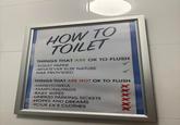 HOW TO TOILET THINGS THAT ARE OK TO FLUSH -TOILET PAPER -WHATEVER ELSE NATURE HAS PROVIDED THINGS THAT ARE NOT OK TO FLUSH -HANDTOWELS -TAMPONS/PADS -BABY WIPES -UNPAID PARKING TICKETS -HOPES AND DREAMS -YOUR EX'S CLOTHES XXXX