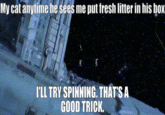 My cat anytime he sees me put fresh litter in his box I'LL TRY SPINNING. THAT'S A GOOD TRICK.