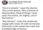 Lara Paige Turner | jan Lala @glaiveguisarme "Cure is simple," says the doctor. "Go to the desert. See a statue of Ozymandias, King of Kings. Look upon his works, ye mighty, you'll feel better." "But doctor!" cried the shattered visage with sneer of cold command, half-sunk in the sand near vast and trunkless legs of stone,