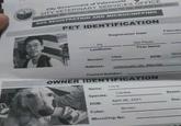 ur City Government of Valenzuela CITY VETERINARY SERVICES OFFICE Rubber Mester RD Lingunan, Valenzuela City: Tel. No. 352-2000 local 2111 DOG REGISTRATION AND MICROCHIPPING PET IDENTIFICATION Registration Date: February Pe Dei Paulo LastName First Name Male Gender: Nove DOB: Address: Valenzuela city, Marulas Contact Number: OWNER IDENTIFICATION Louie Name: Canine Species: Breed: April 26, 2021 DOB: Brown Color: MicroChip No: