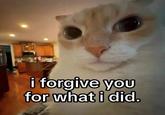 i forgive you for what i did.