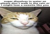 sugar dissolves in water so please don't walk in the rain or I might lose a sweetie like you