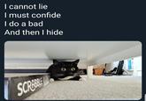 I cannot lie I must confide I do a bad And then I hide SCRABBLE e e