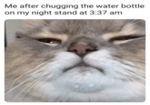 Me after chugging the water bottle on my night stand at 3:37 am