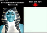 @fresh.pince Look at the dot on the nose 15 seconds Now look here